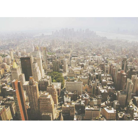 Consola Portatil